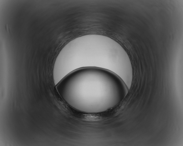 X0000086900380200704160952