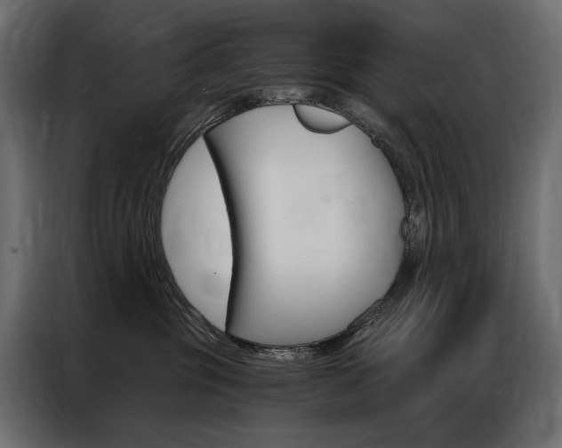 X0000086900381200704160952