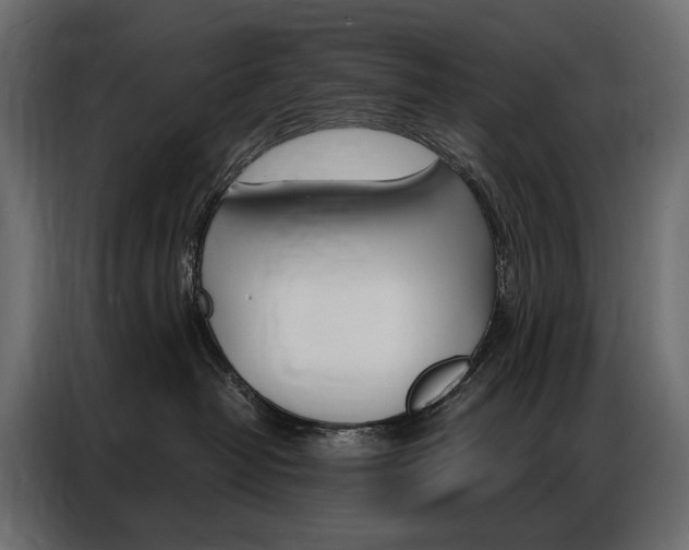 X0000086900382200704160952