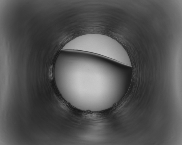 X0000086900383200704160952