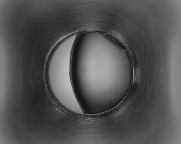 X0000086900387200704160951