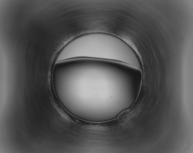 X0000086900389200704160951