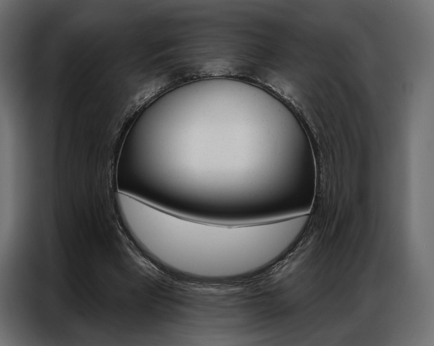 X0000086900393200704160951