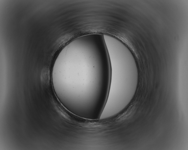 X0000086900397200704160951