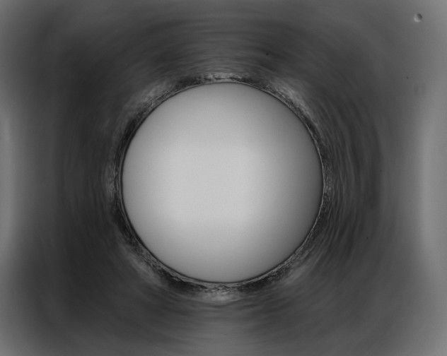 X0000086900402200704160951