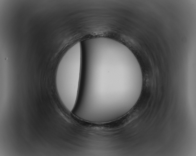 X0000086900408200704160951