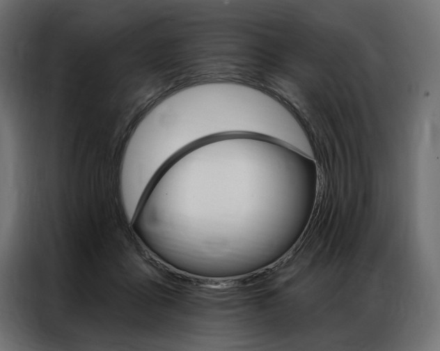 X0000086900411200704160951