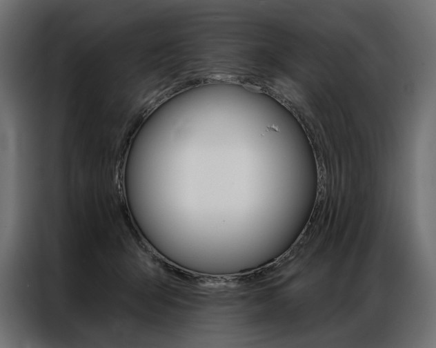 X0000086900415200704160951