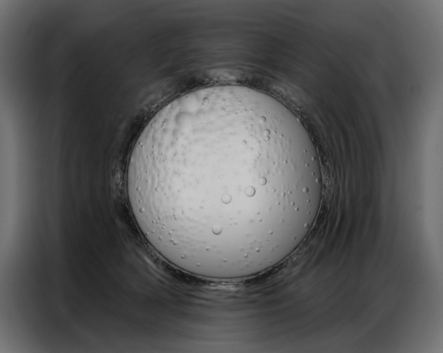 X0000086900418200704160951