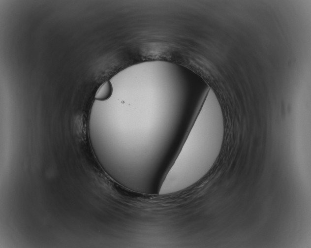 X0000086900420200704160951