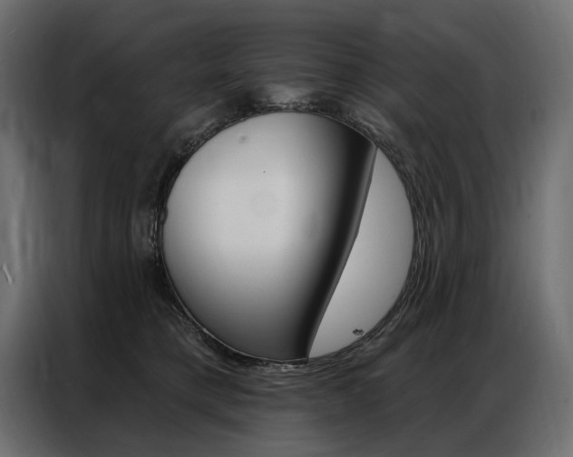 X0000086900421200704160951