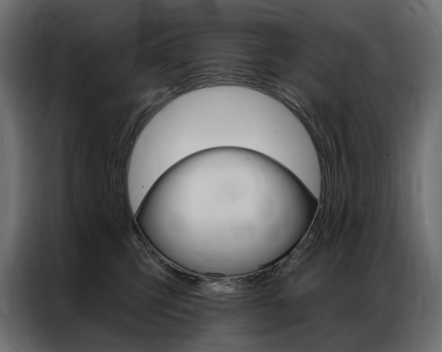 X0000086900423200704160951