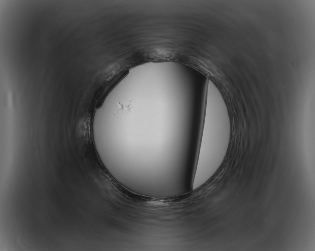 X0000086900425200704160951