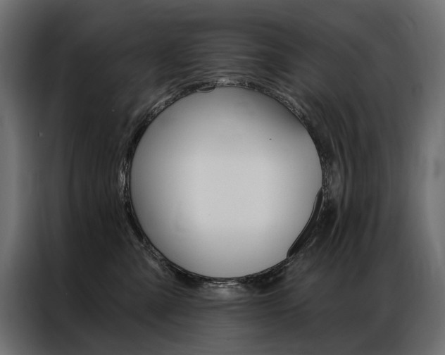 X0000086900427200704160951