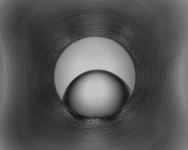 X0000086900428200704160951