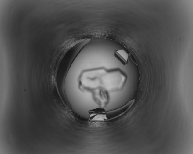 X0000086900432200704160951