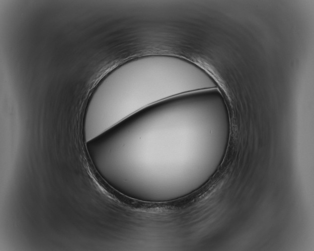 X0000086900433200704160950