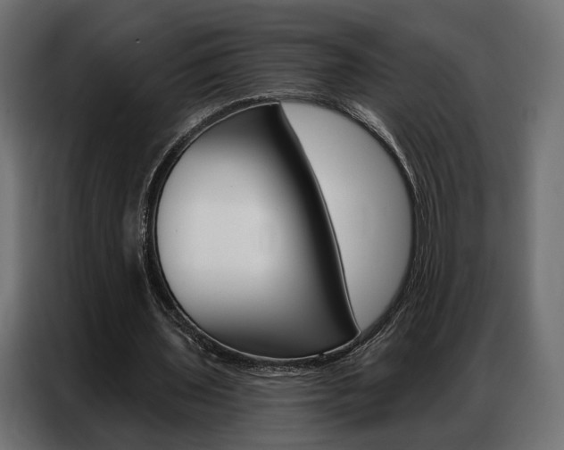 X0000086900435200704160950