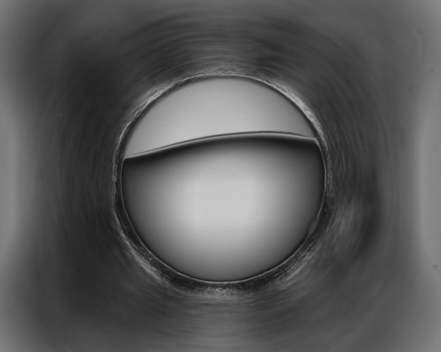 X0000086900437200704160950