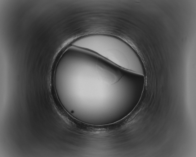 X0000086900438200704160950