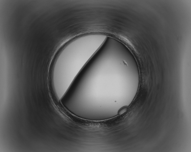 X0000086900439200704160950