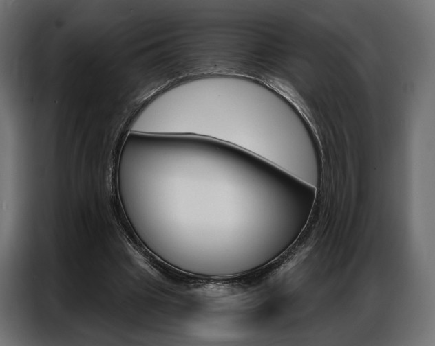 X0000086900441200704160950