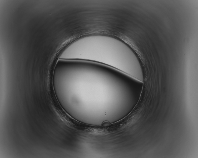 X0000086900442200704160950