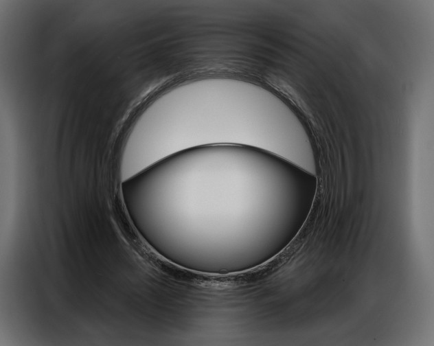 X0000086900444200704160950