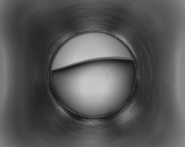 X0000086900445200704160950