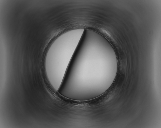 X0000086900447200704160950