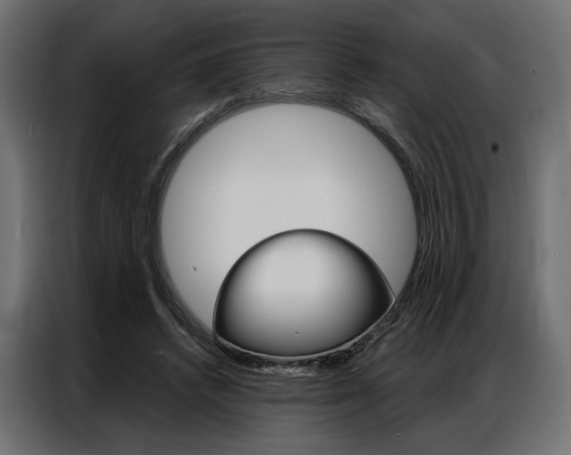 X0000086900448200704160950