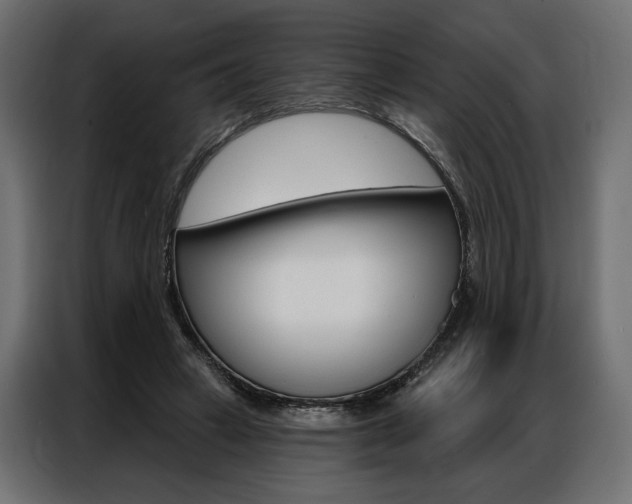 X0000086900449200704160950