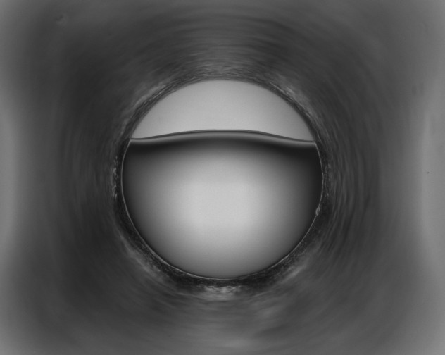 X0000086900450200704160950