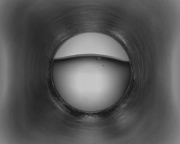 X0000086900455200704160950