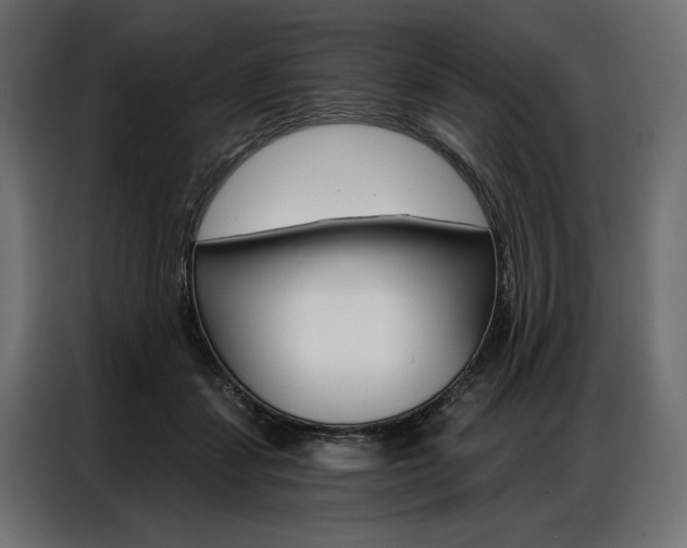 X0000086900459200704160950