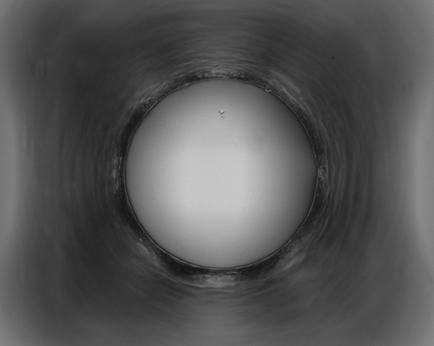X0000086900462200704160951