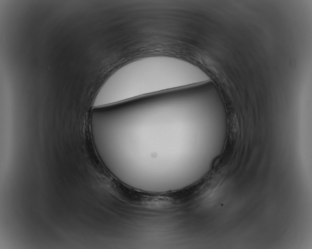 X0000086900463200704160951