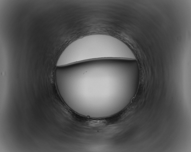 X0000086900465200704160951