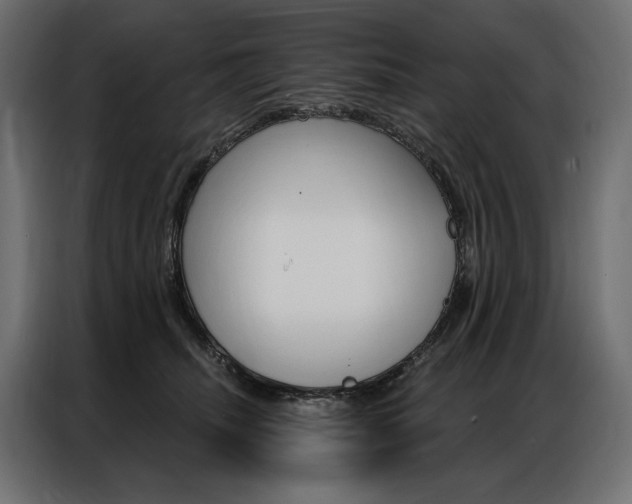 X0000086900468200704160951