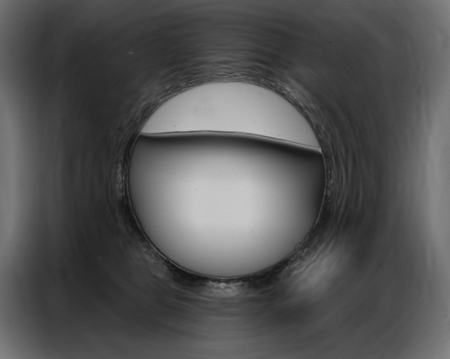 X0000086900469200704160951