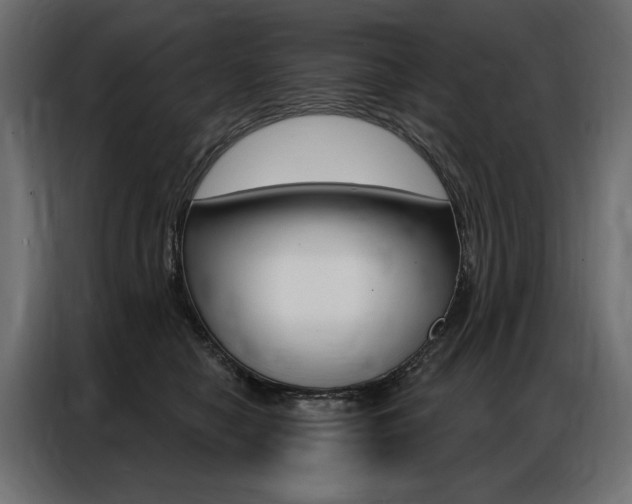 X0000086900470200704160951
