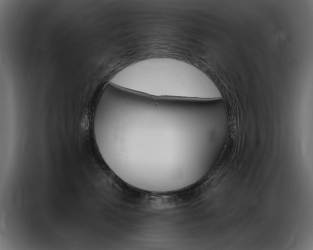 X0000086900472200704160951