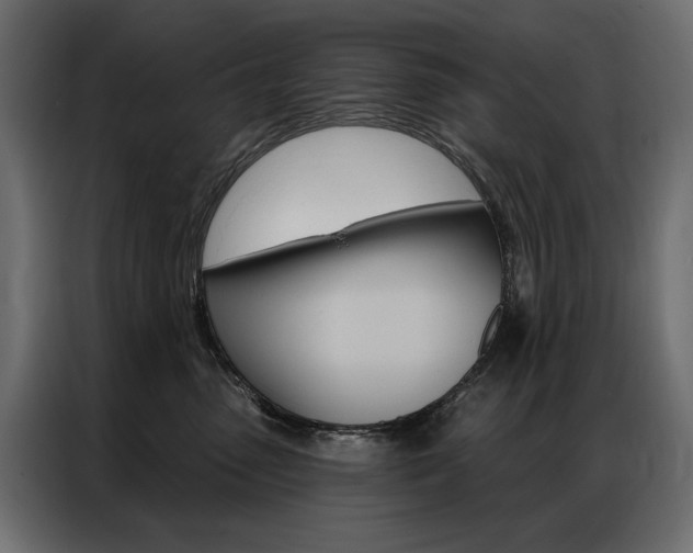 X0000086900475200704160951