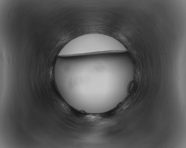 X0000086900477200704160951