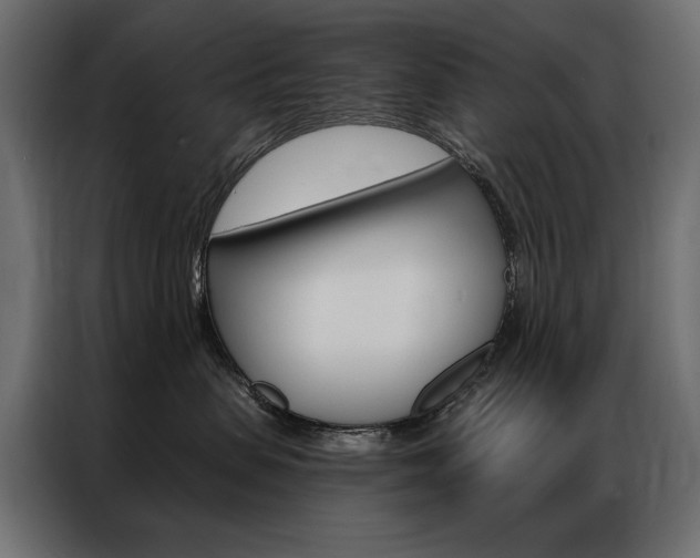 X0000086900479200704160951