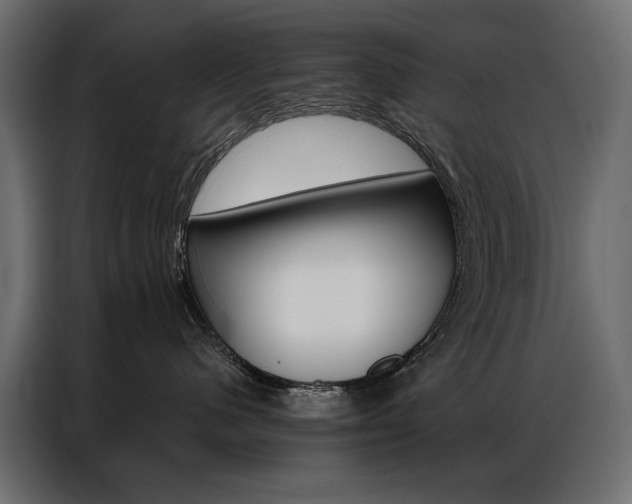 X0000086900480200704160951
