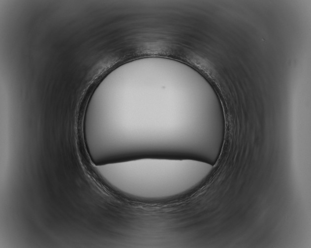 X0000086900482200704160950