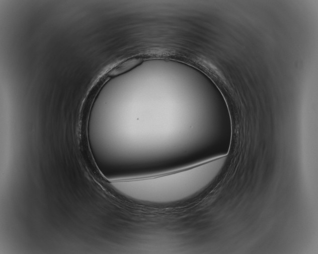 X0000086900484200704160950
