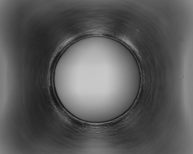 X0000086900486200704160950