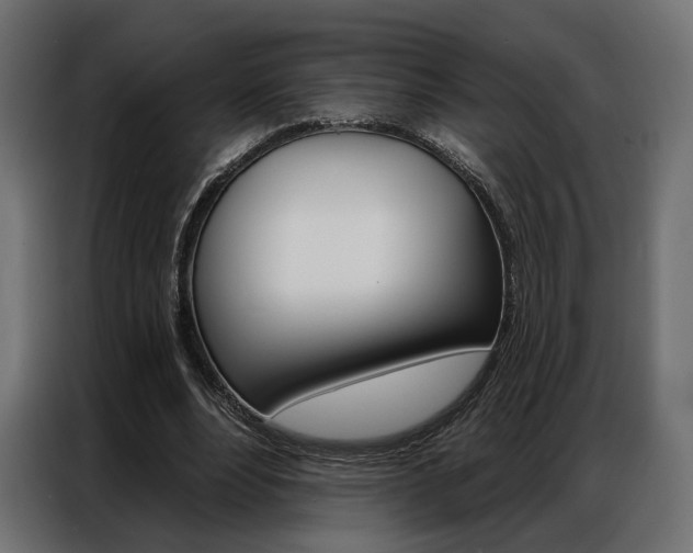 X0000086900488200704160950